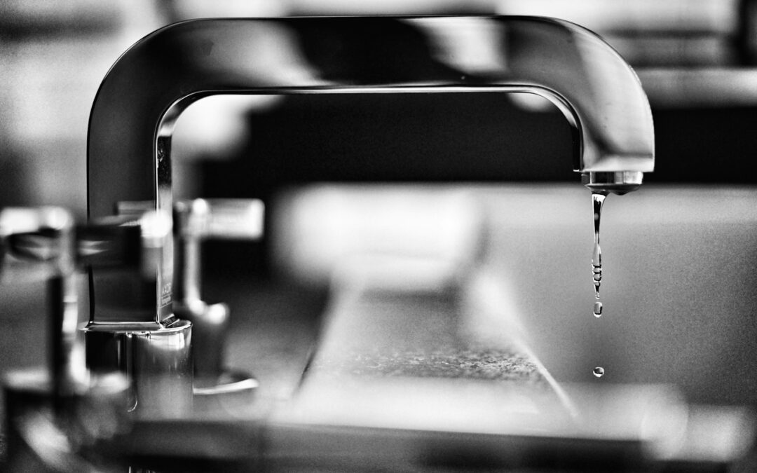 Guide to Water-Saving Plumbing Fixtures and Their Benefits