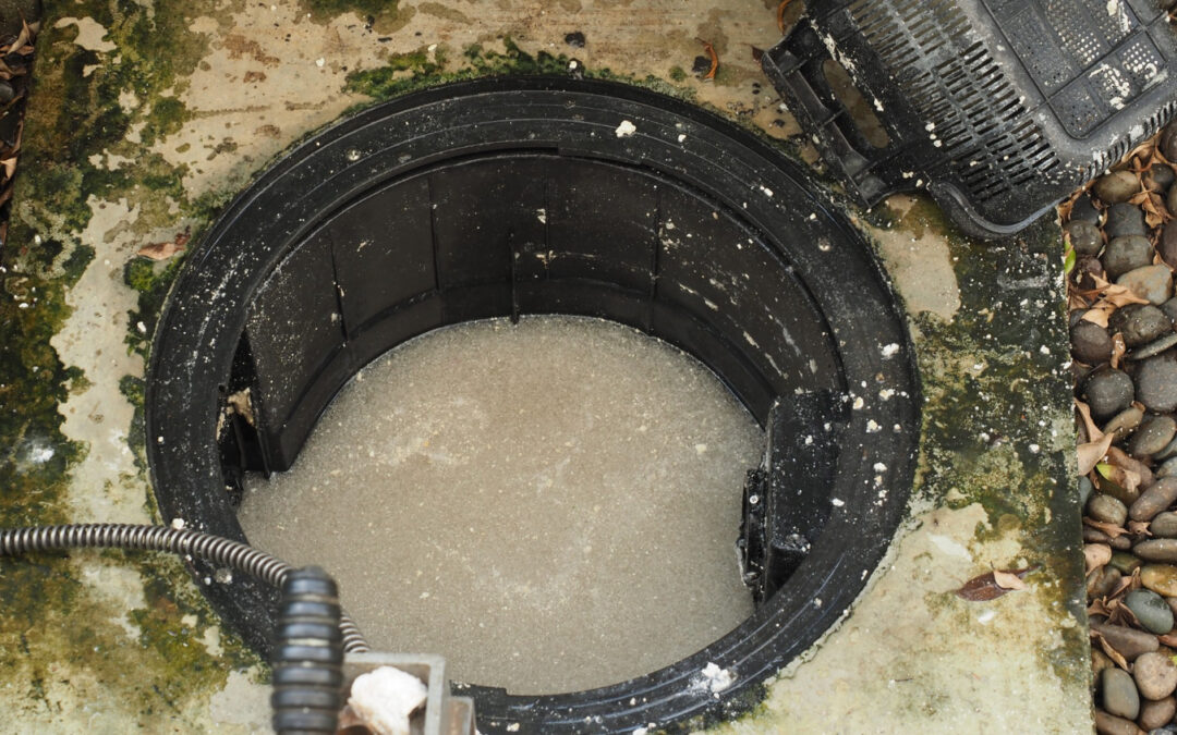 How to Prevent Sewer Backups in Your Home