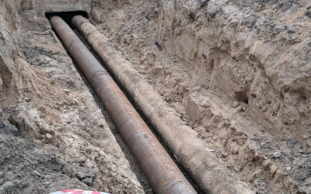 Identifying the Common Signs Your Sewer Line Needs Repair